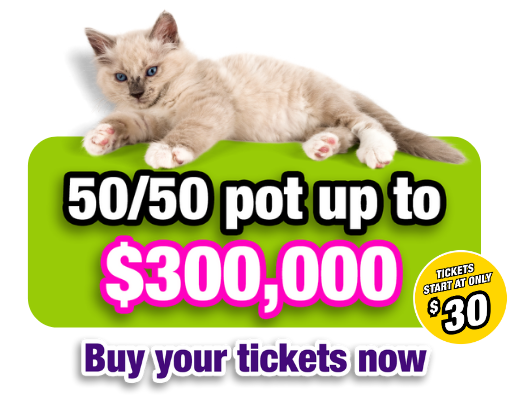 It s not too late to win CASH prizes in the BC SPCA Lottery The