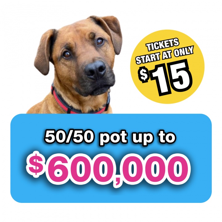 BC SPCA Lottery for animals in need announces its largest 50/50 ever