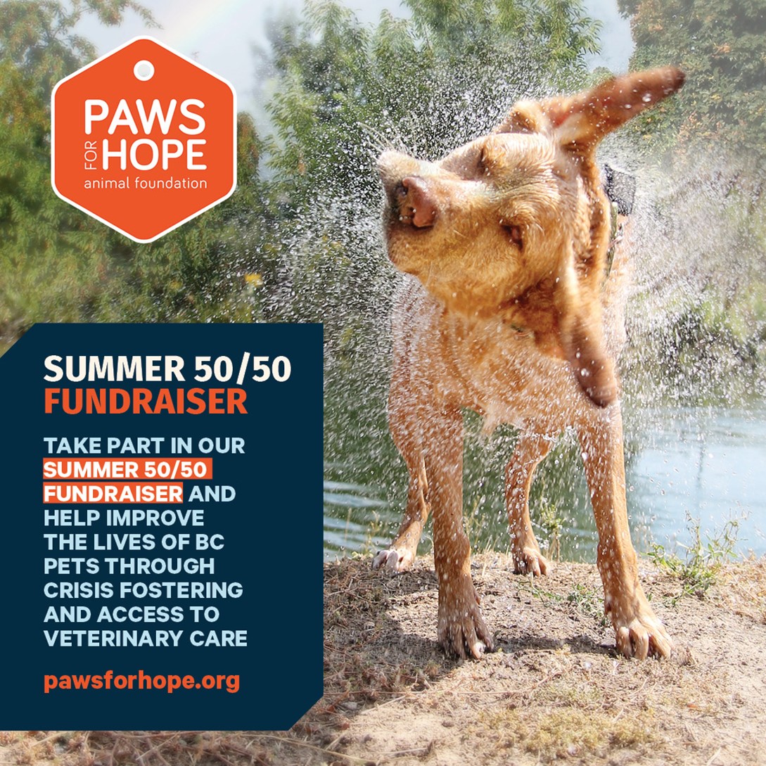 Paws for Hope Animal Foundation's Summer 50/50 draw helps to keep families  together. | The Home Lottery News™